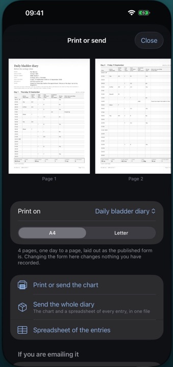 The finished three-day chart previewed for printing on A4